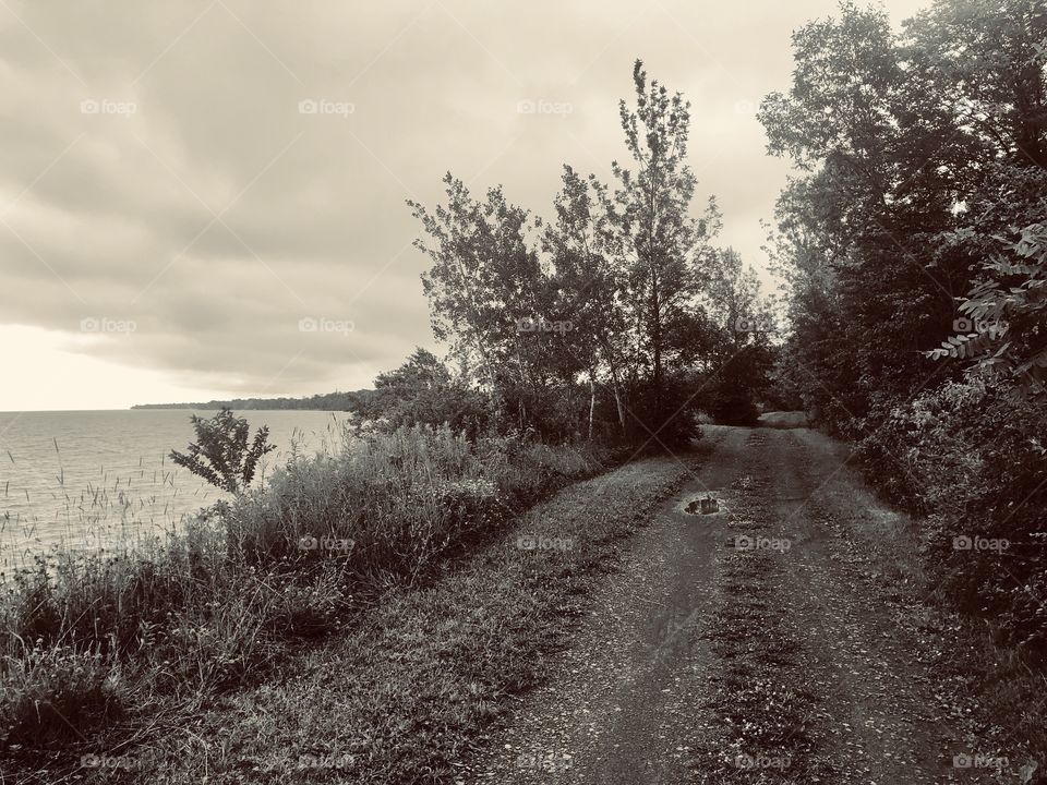 Lonesome road by the water 