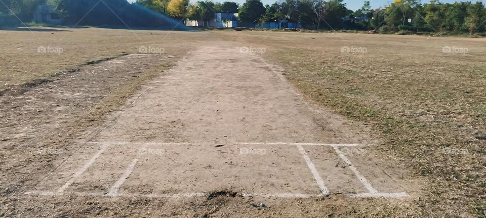 Cricket Pitch in Open Field
