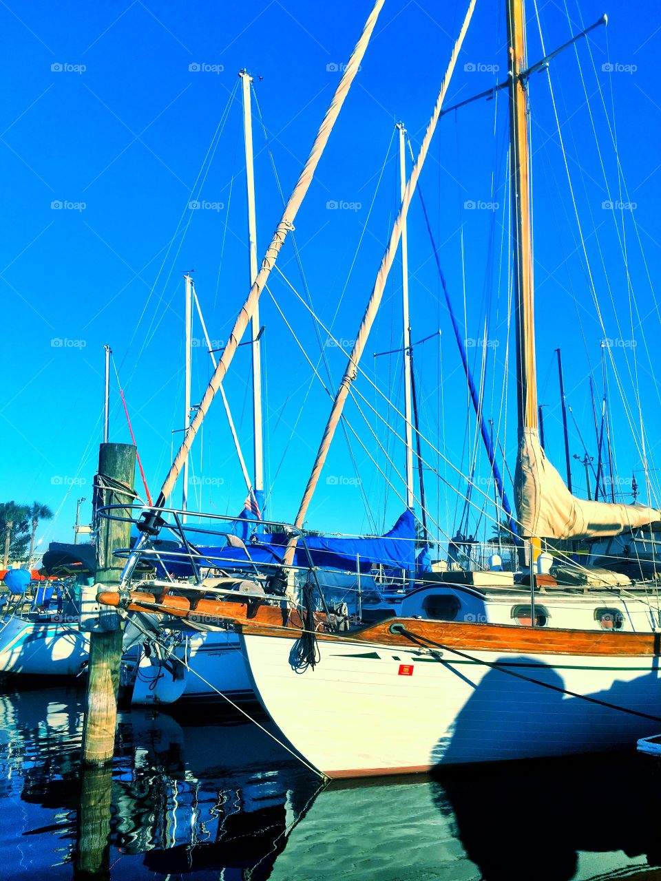 Sailboat in the marina