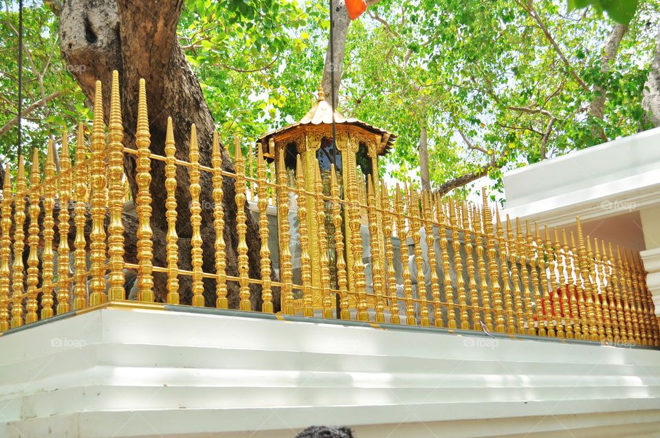 the golden fence of jaya sri maha bodhi