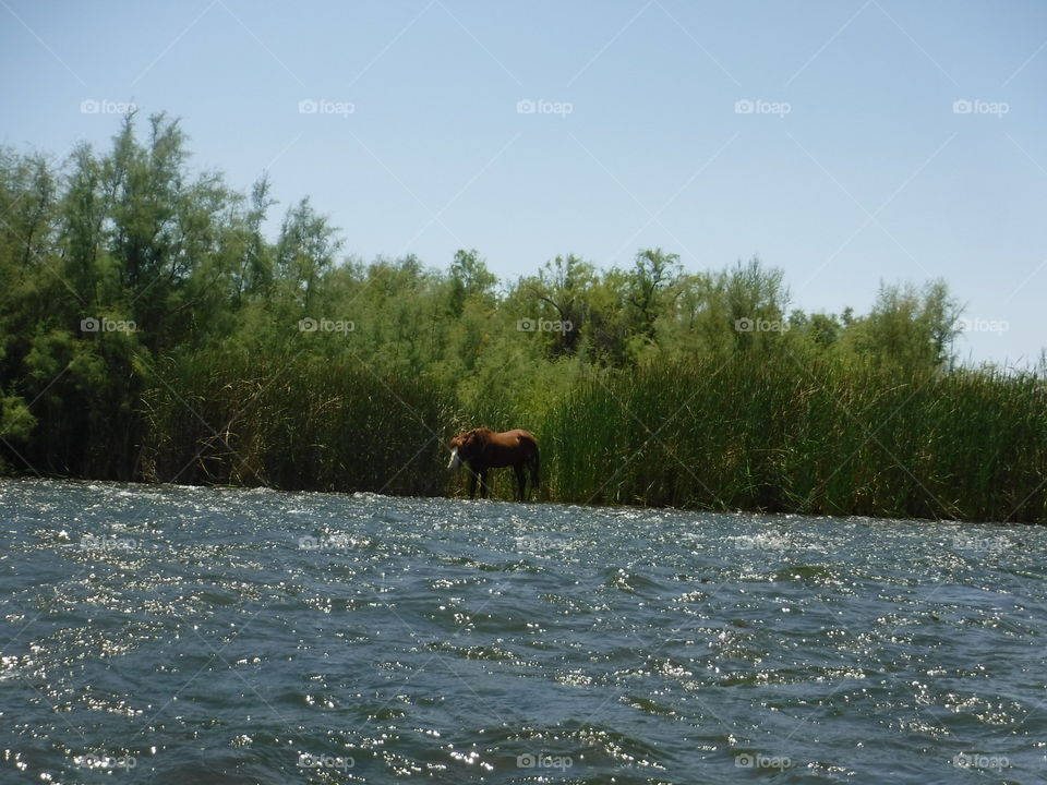 Water, No Person, Lake, Outdoors, Landscape