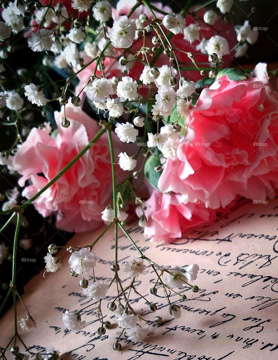 Baby pink.  On paper with black handwritten text in French lies a bouquet of baby pink carnations and white gypsophila balls