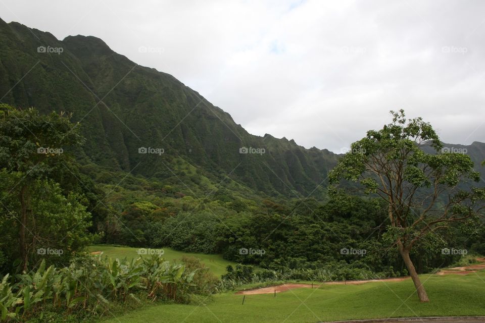 Path by the Mountains. Hills and valleys on the Windward coast of Oahu, Hawaii.