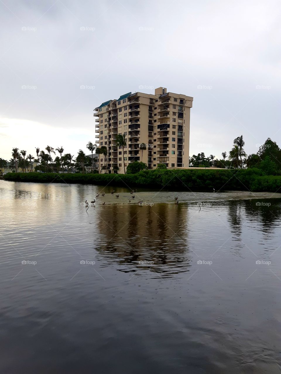 Peace of tranquility