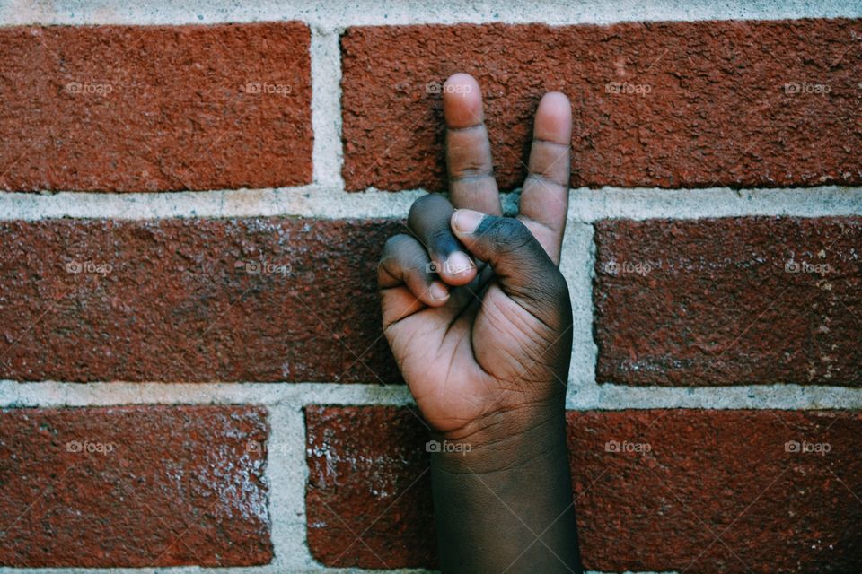 Brick, Wall, Texture, Urban, Building