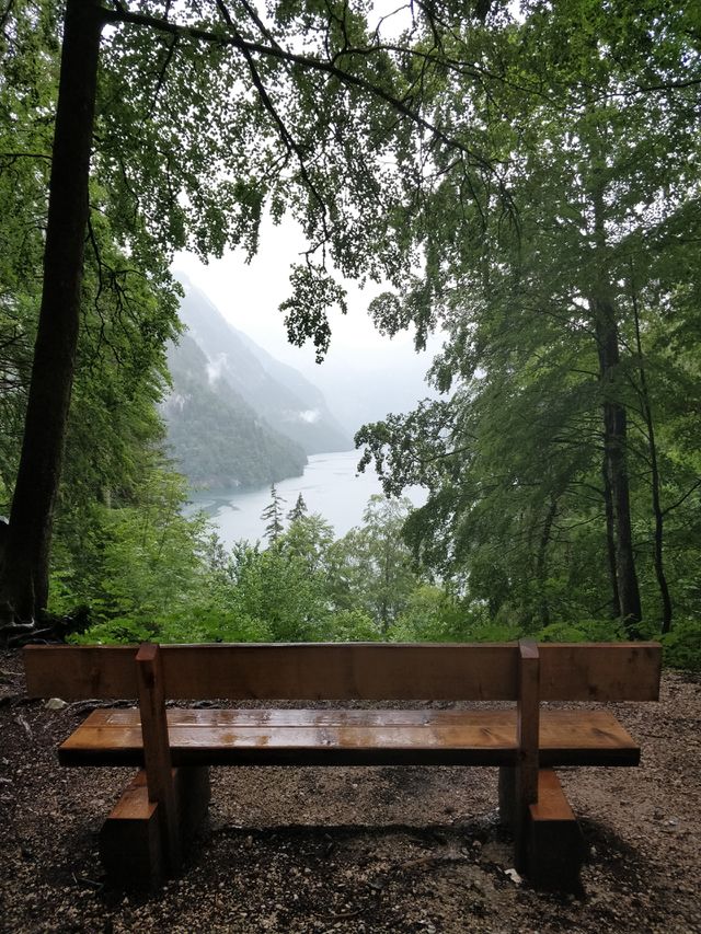 Bench, forest, Lake, View, Rain, lonelyness, green, Königssee