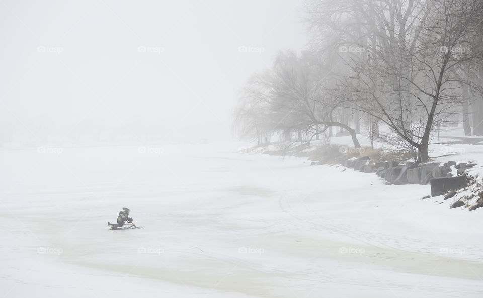 Person on sleigh crossing frozen lake on foggy winter day with  advection fog along trees lined curvy path outdoor winter activity conceptual background 