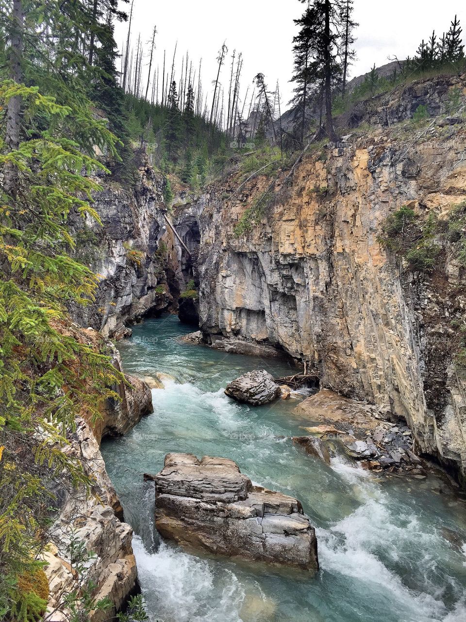 The river flows (Taken at the Kootenays, Canada)