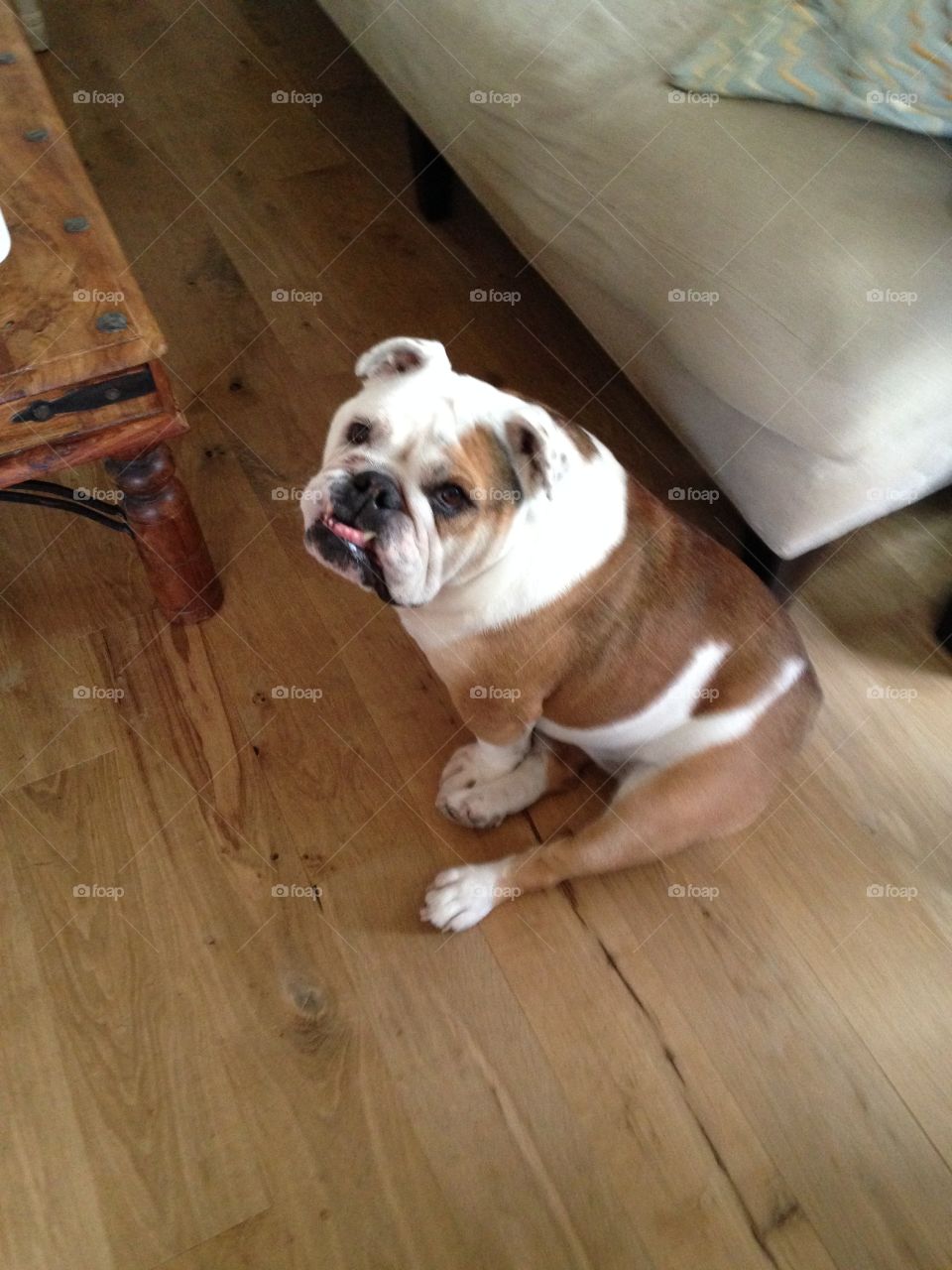 Are you talking to me??