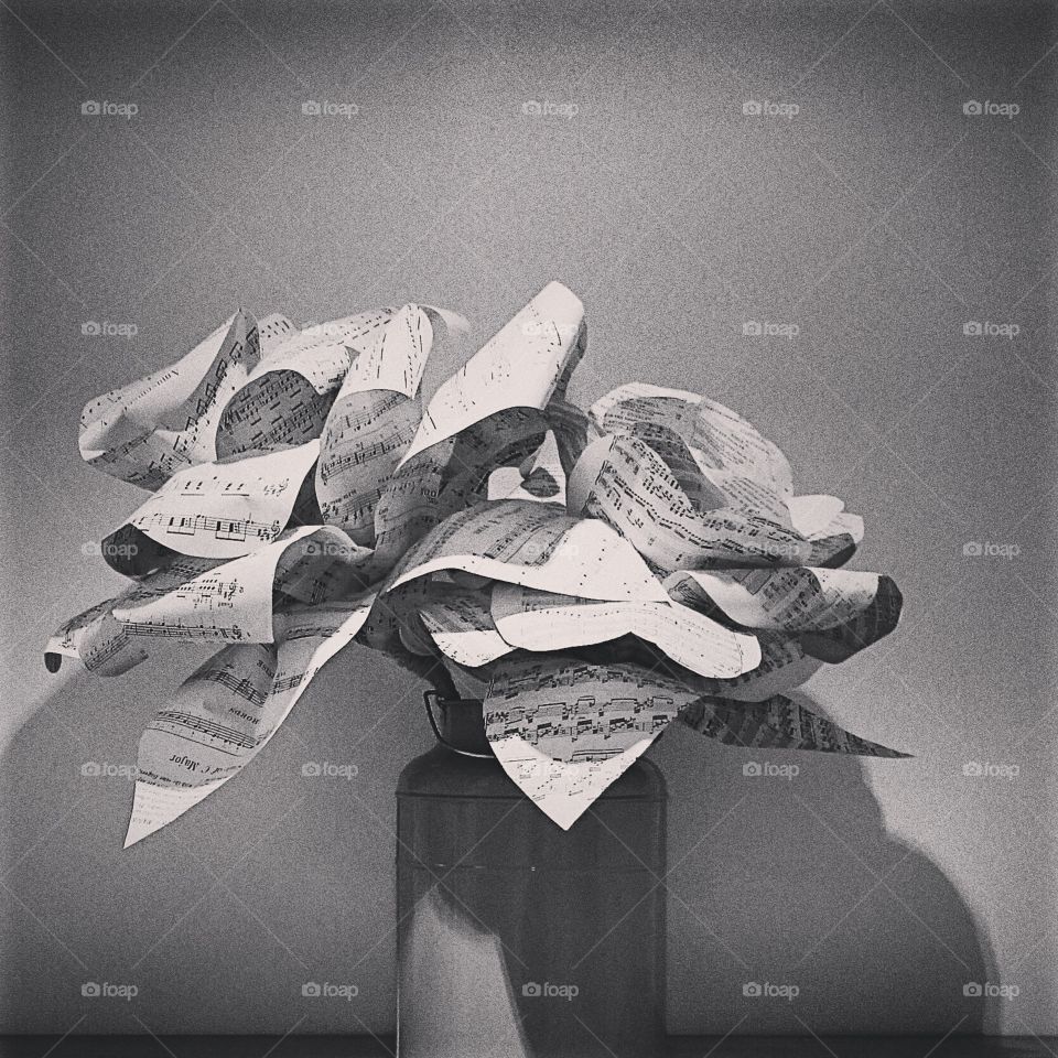 Musical notes. Gorgeous and creative