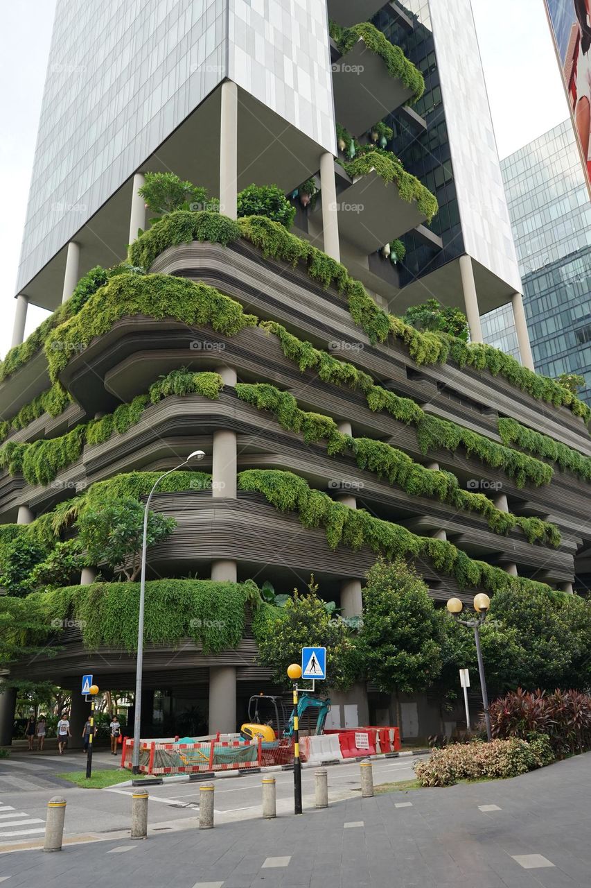 vertical garden for more oxygen 