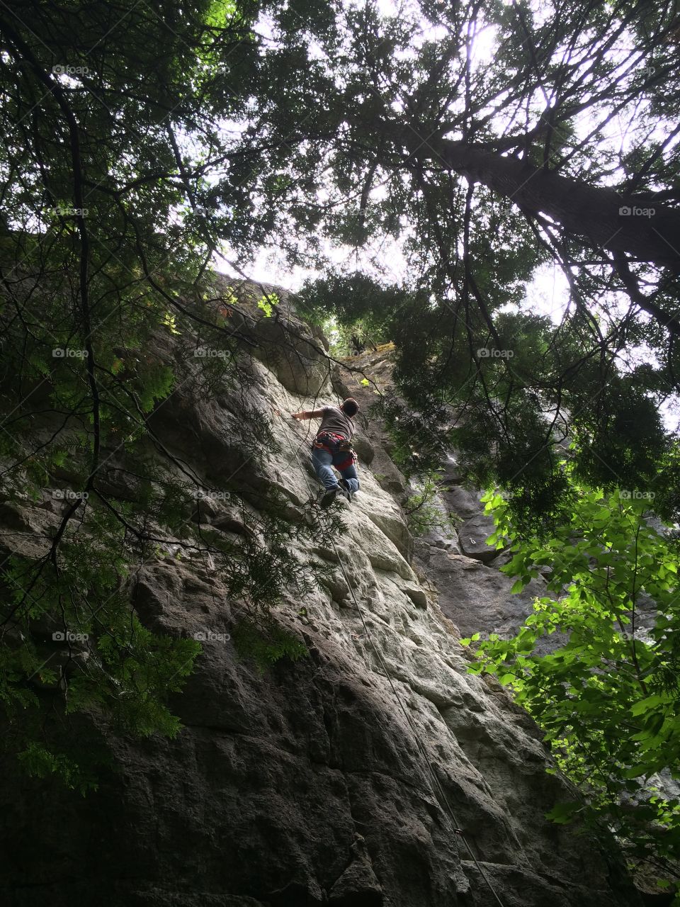 Climbing a 5.11 in the swamp