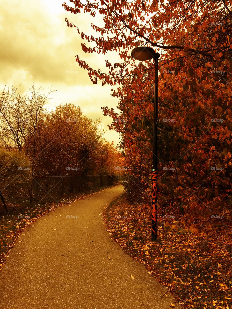 Colored streetlamp in autumn 