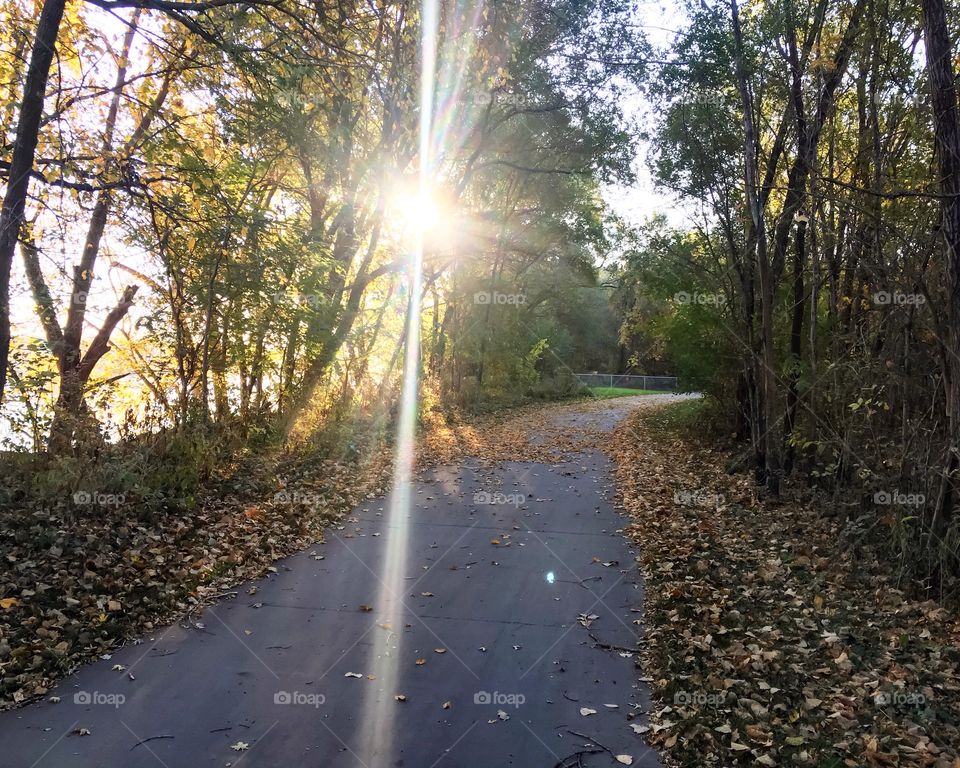 Salutations from the sunrise