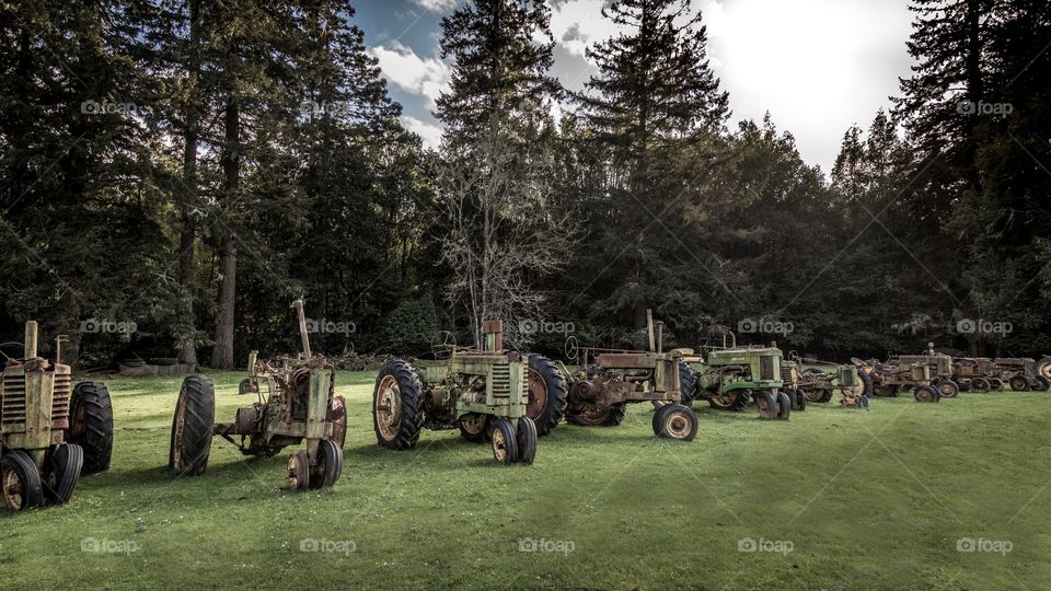 Old Tractors 🚜