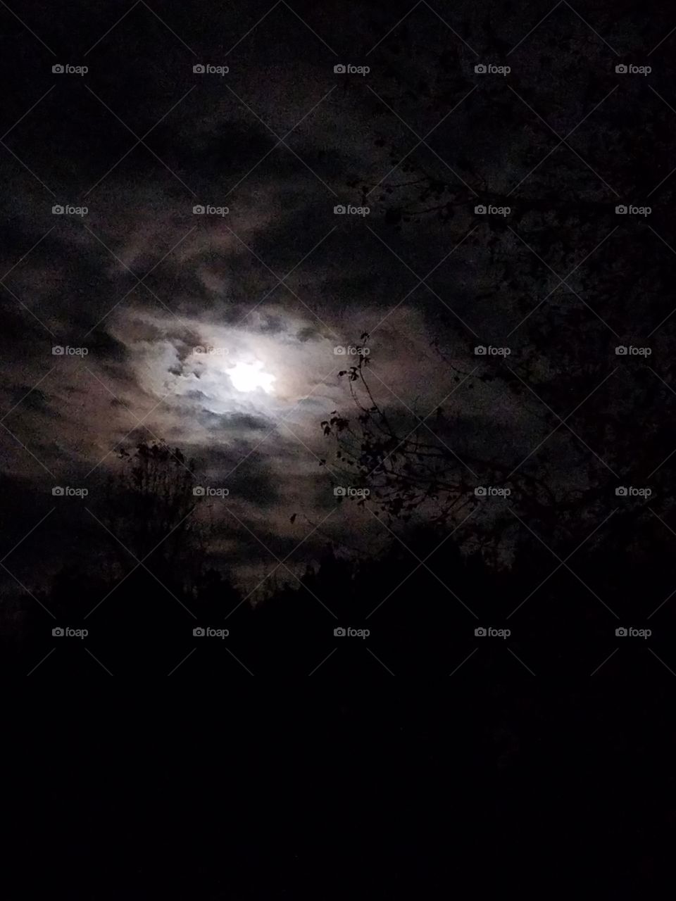 Dark, moon lit night.