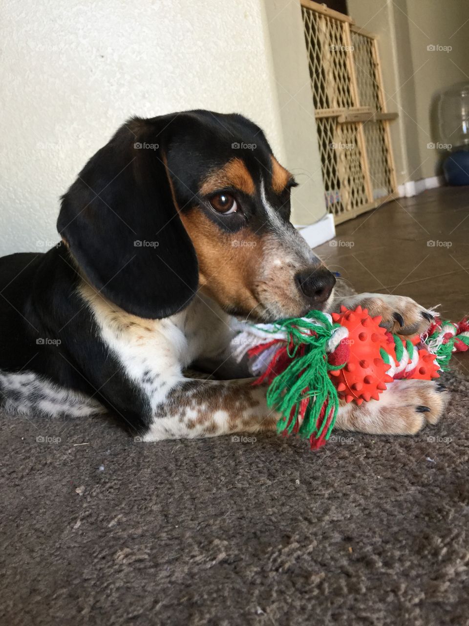 Playing with her toy