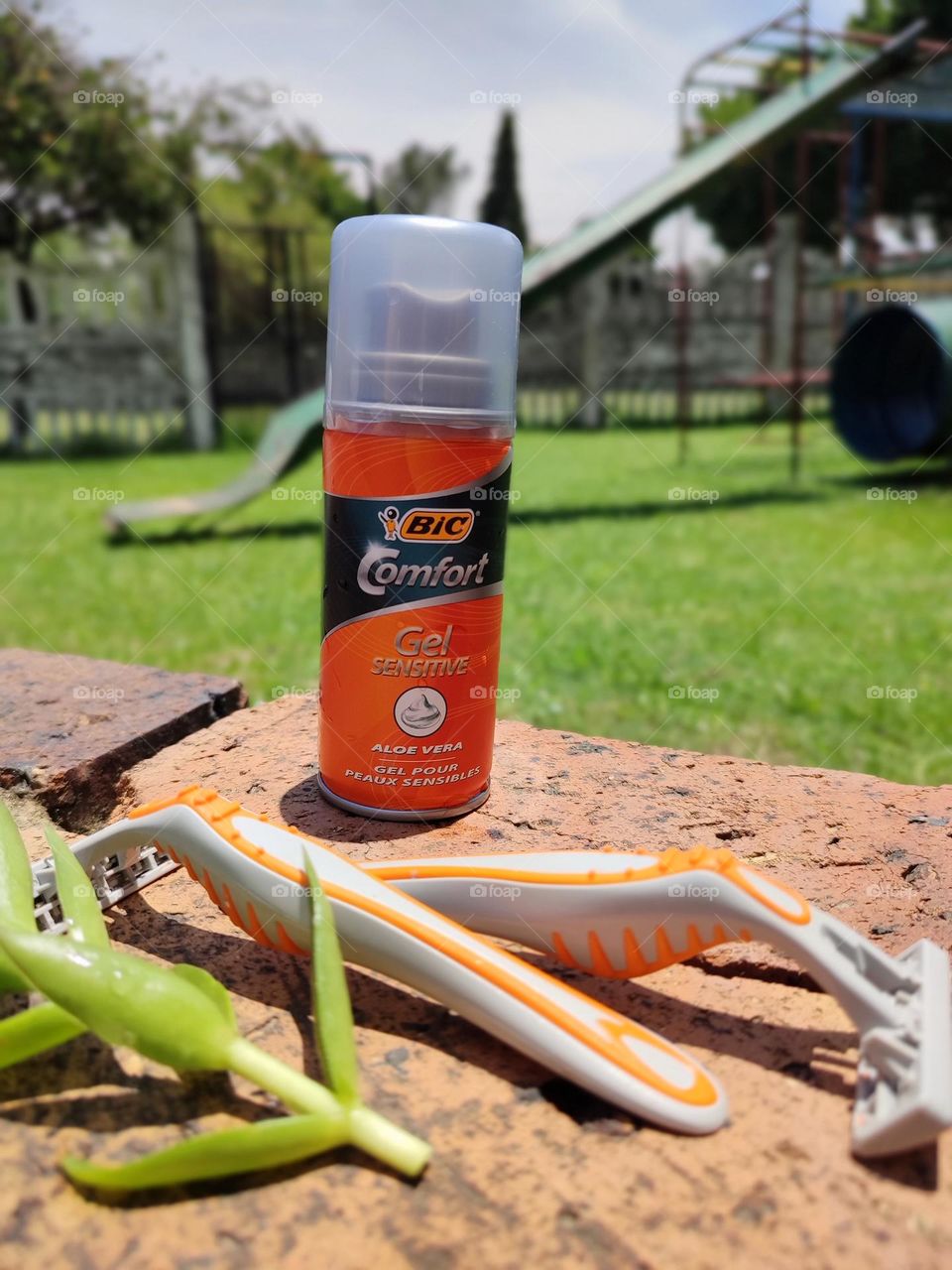 Shaving cream and razors