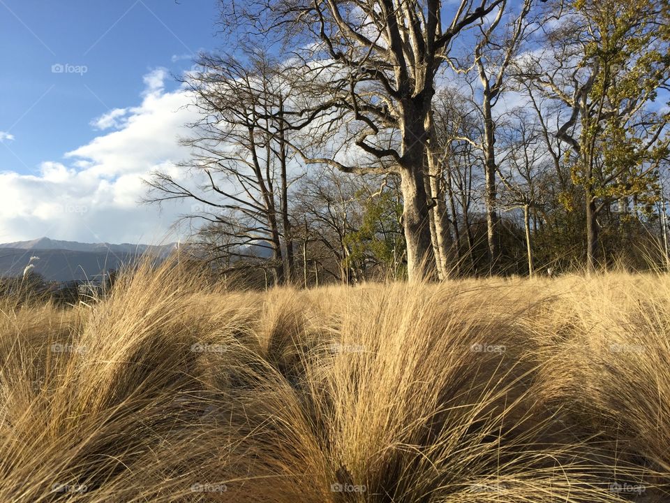 From another point of view. Parco Ciani, Lugano. Switzerland 