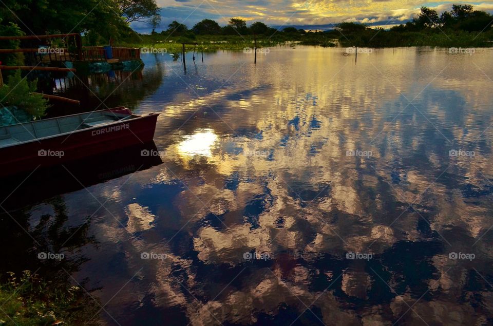 PANTANAL MS BRAZIL