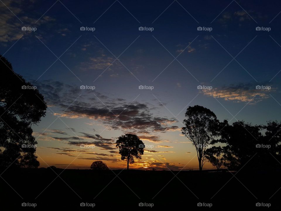 Sunset with tree silhouettes
