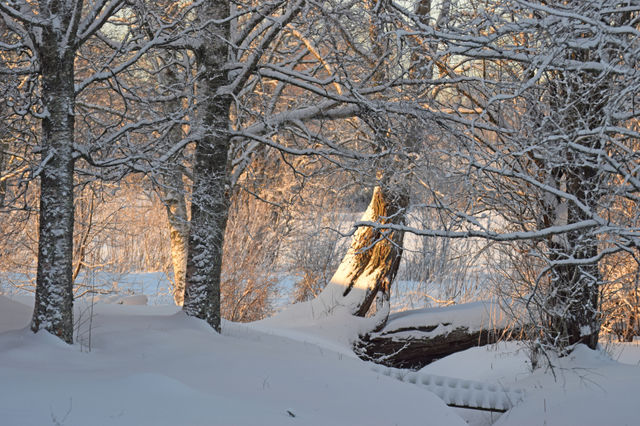 winter