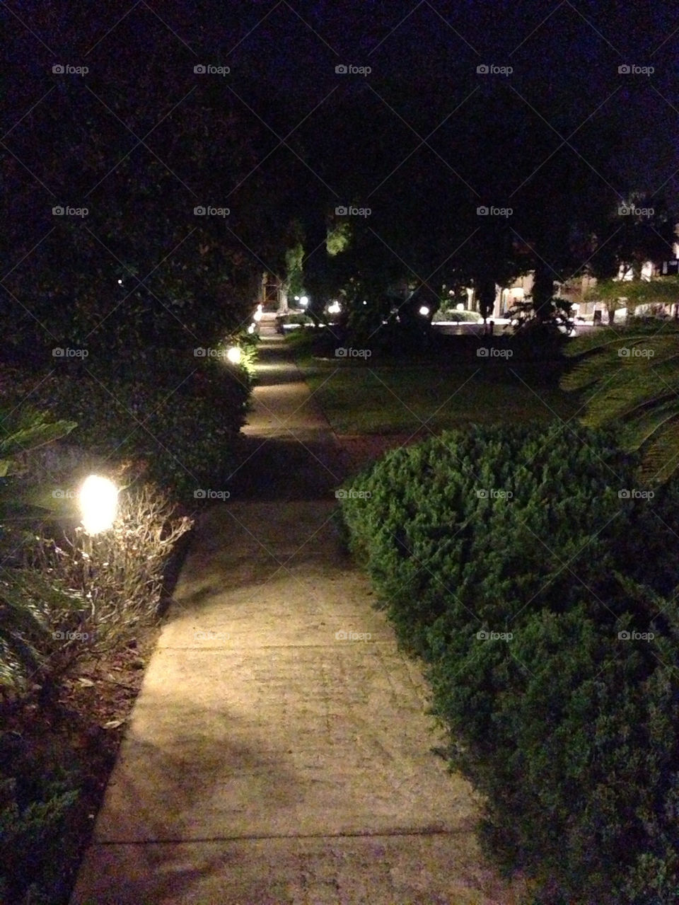 Night walk