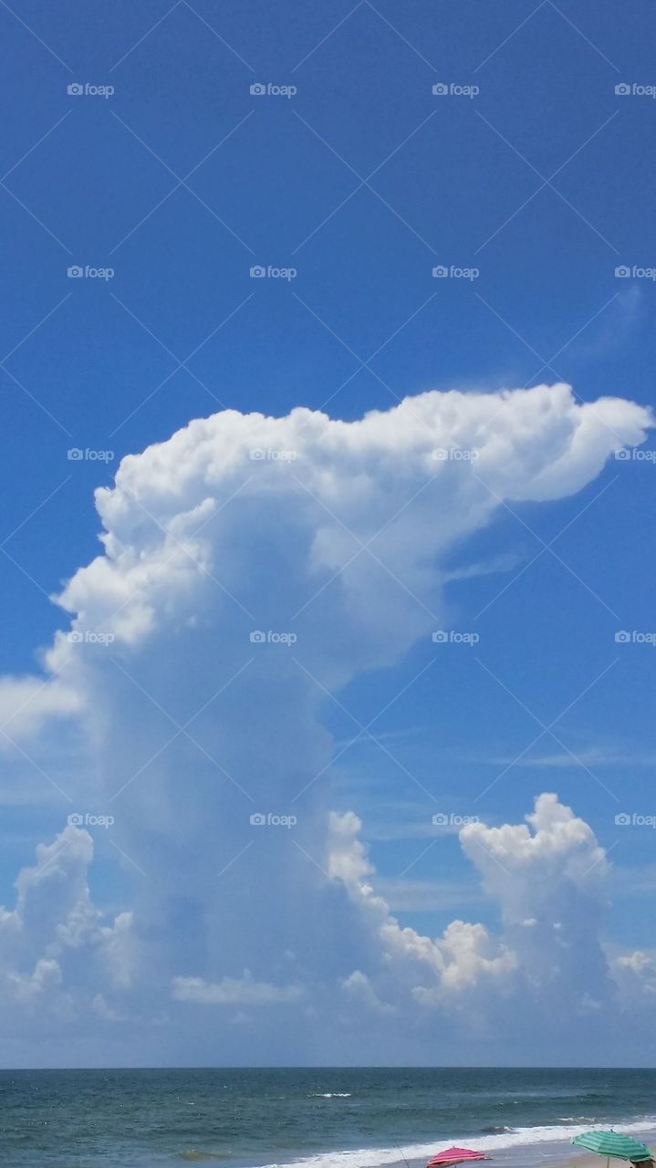Dolphin looking cloud