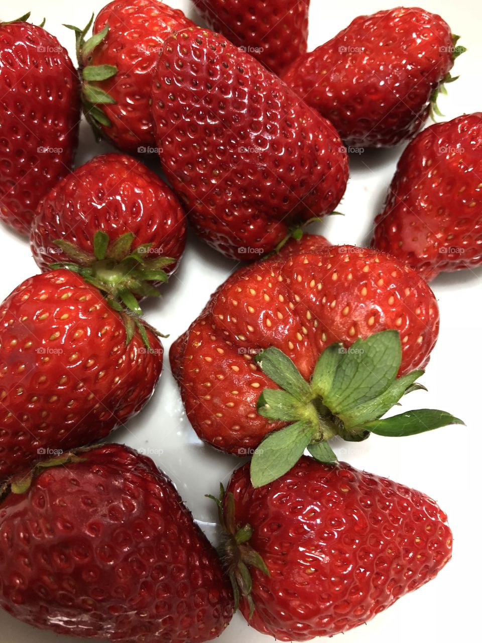 Perfect Japanese greenhouse grown giant strawberries