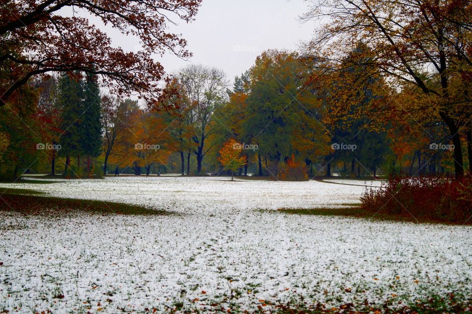 Herbststimmung