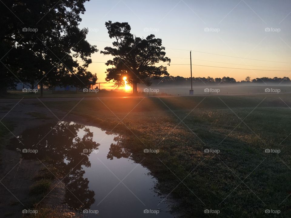 Sunrise over a puddle