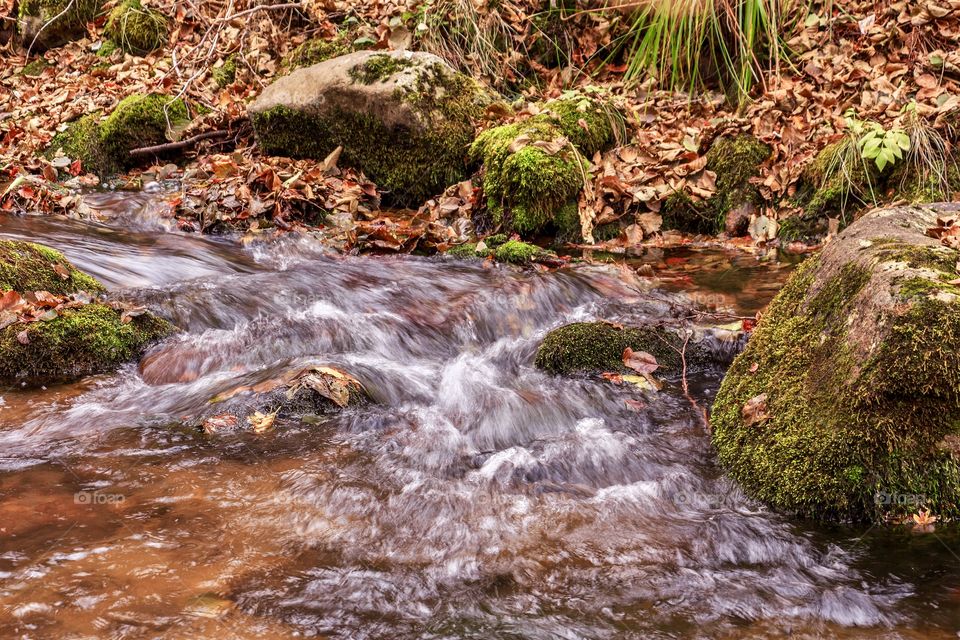 Mountain stream in the fall