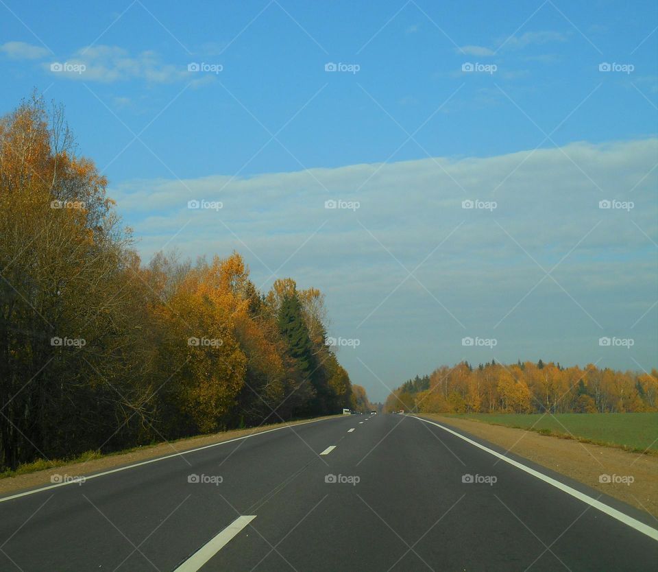 road trip window car view