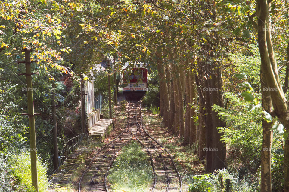 Train in Spain 