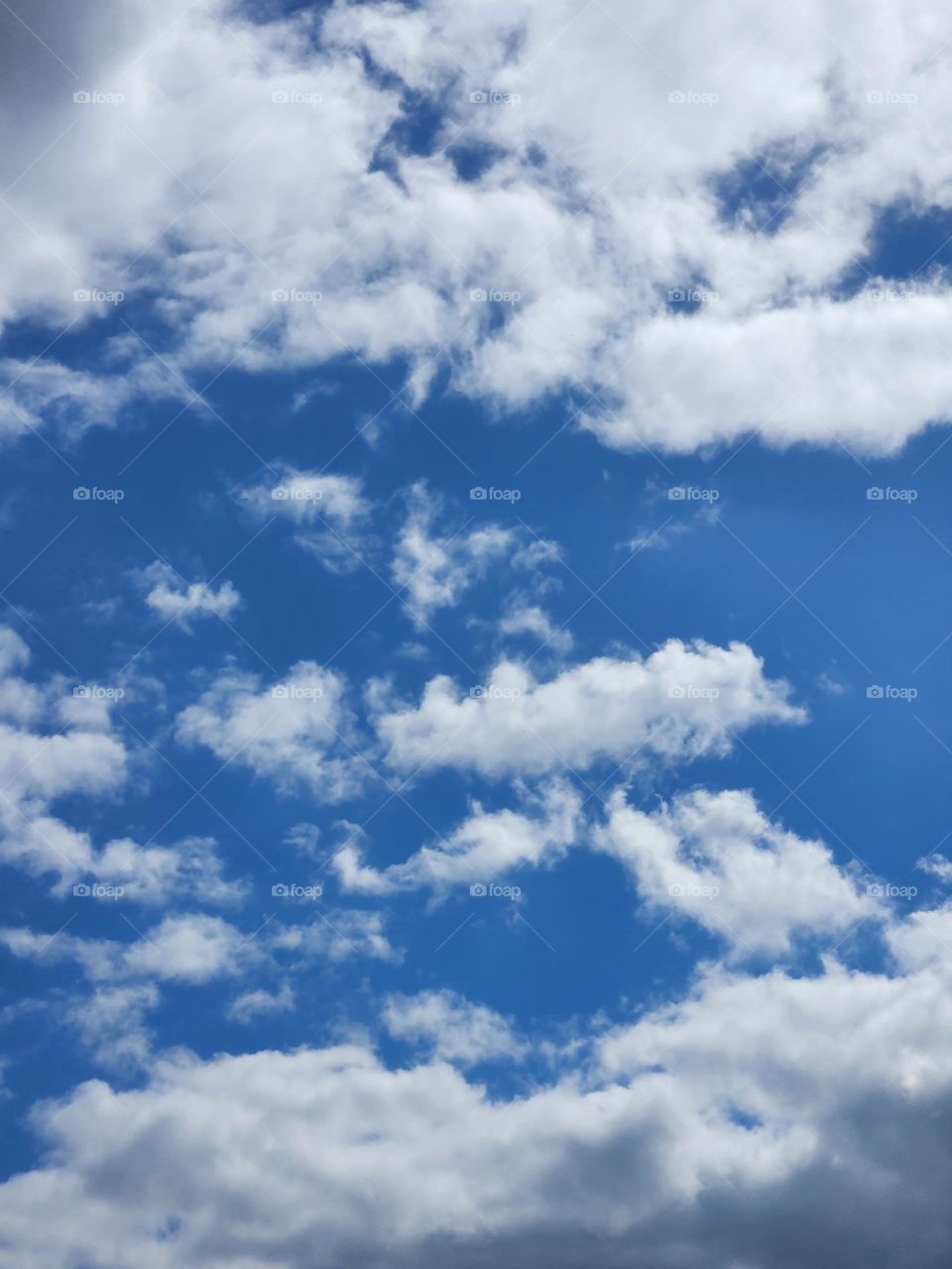 vibrant contrasting clear blue sky with white clouds