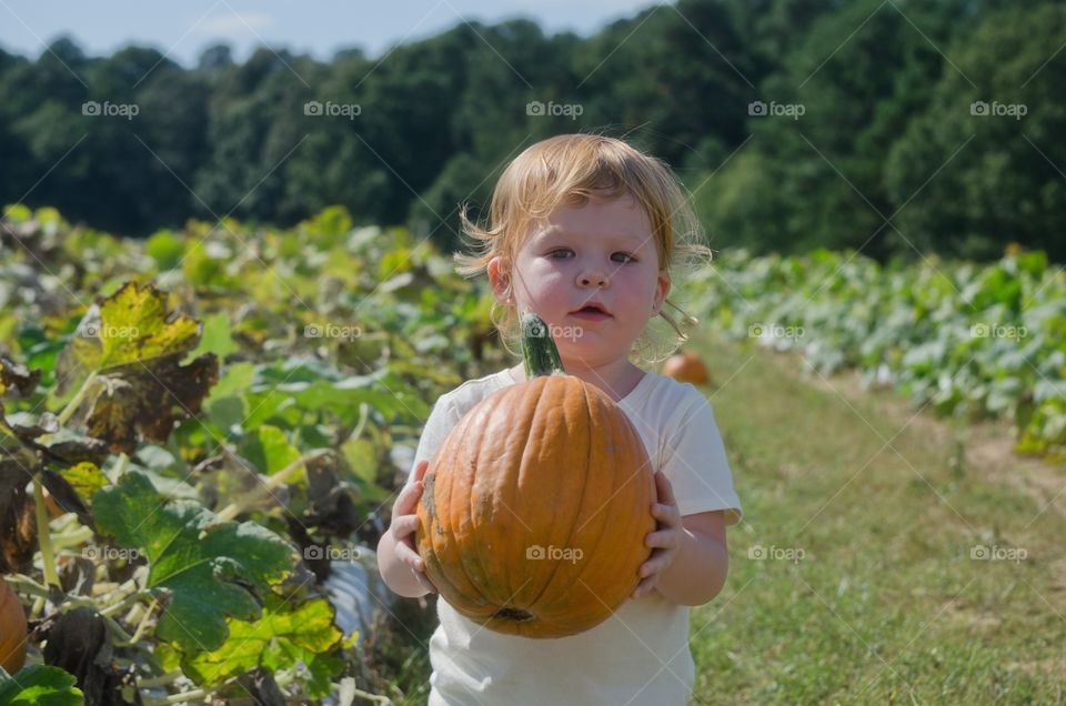 Boy holding pumpkin in hand
