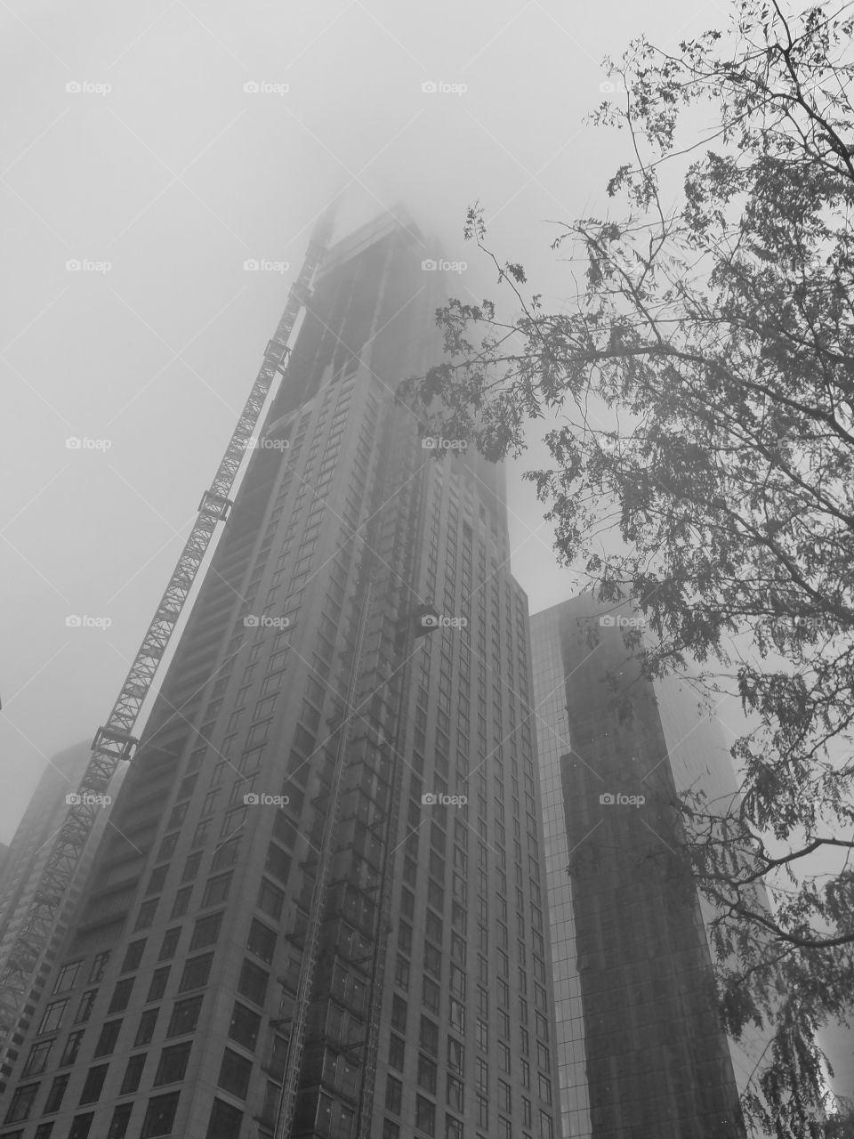Foggy Chicago 