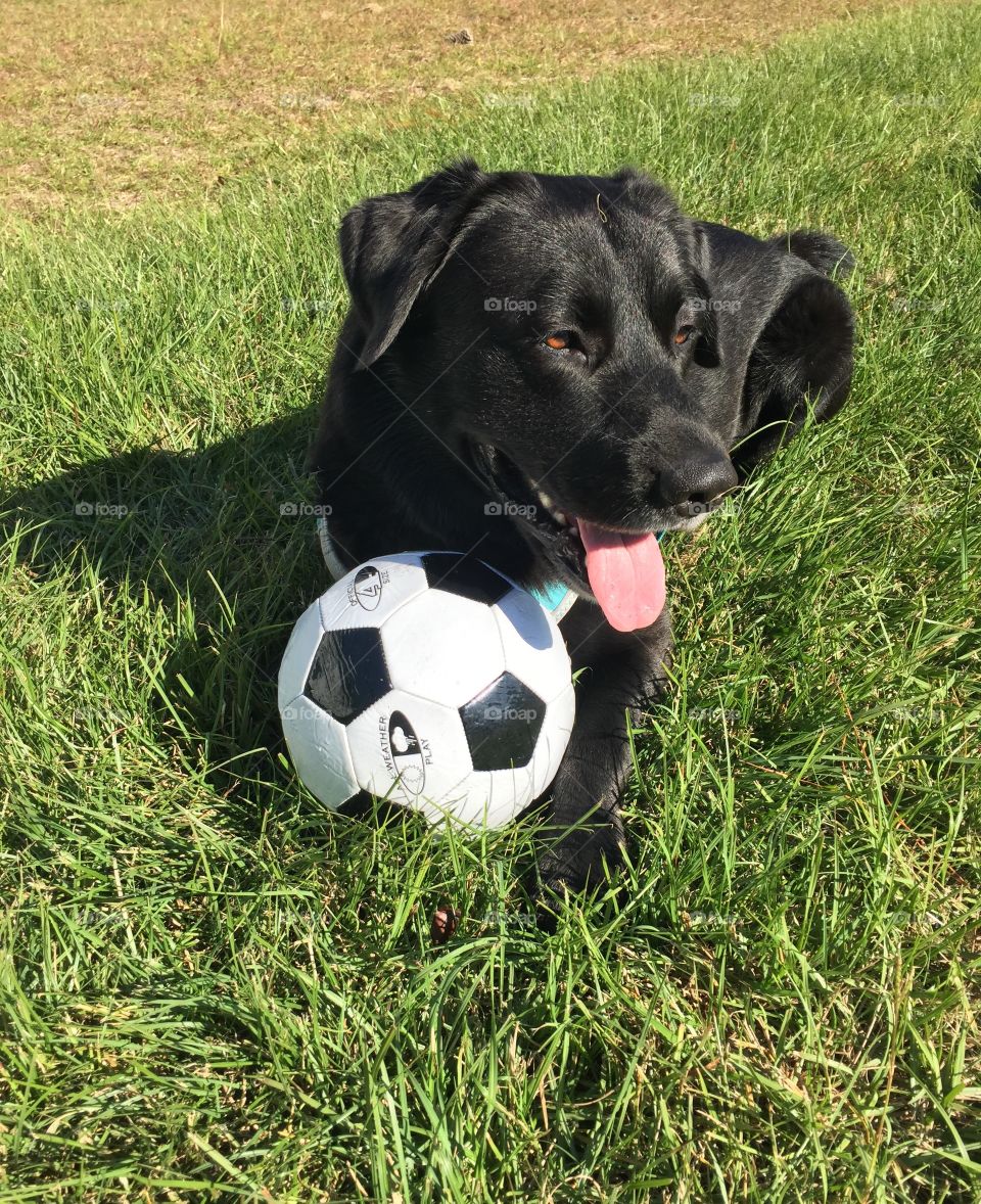 Playing with soccer ball