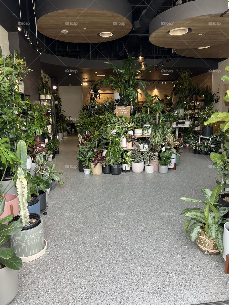 Going green - plant store with a variety of potted plants 