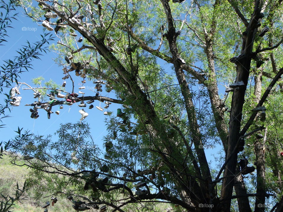 Are you missing a shoe?😂