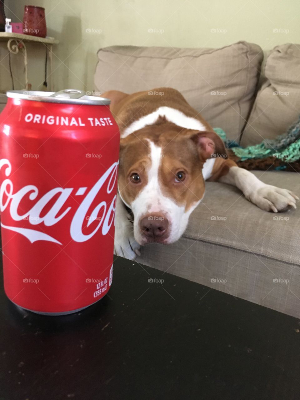 Coca-Cola photography mission 