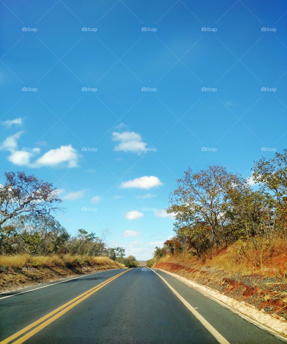 Way Road vacation estrada asfalt run sky travel car drive paisage Brazil blue tree