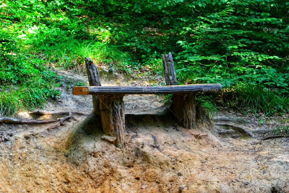 bench in forest