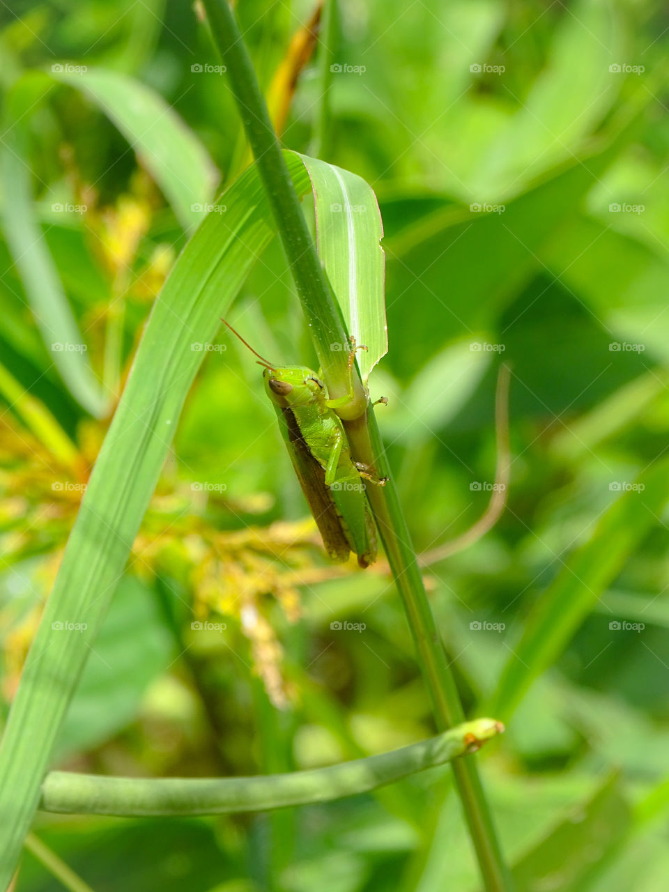 how much do you like this photo