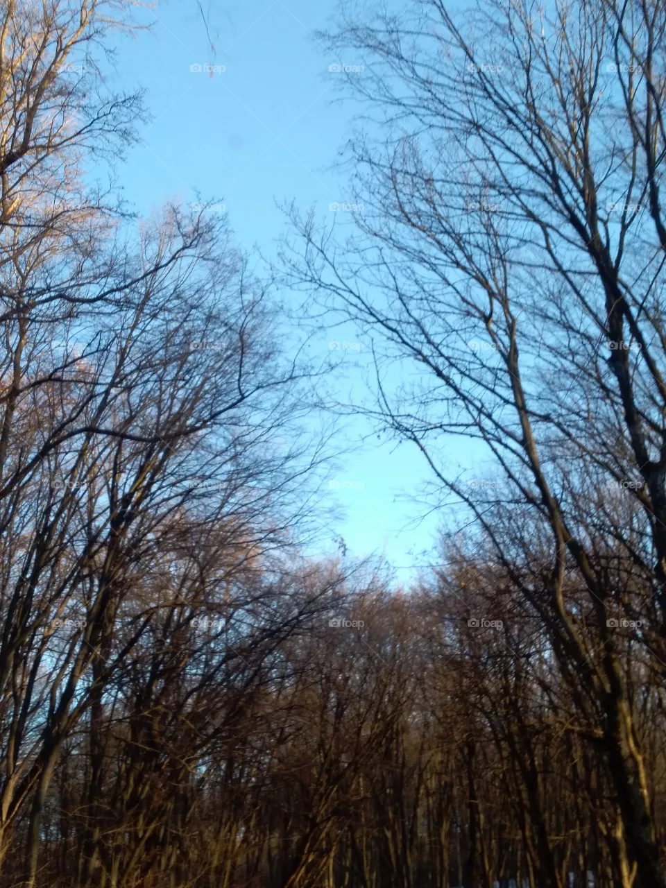 nature