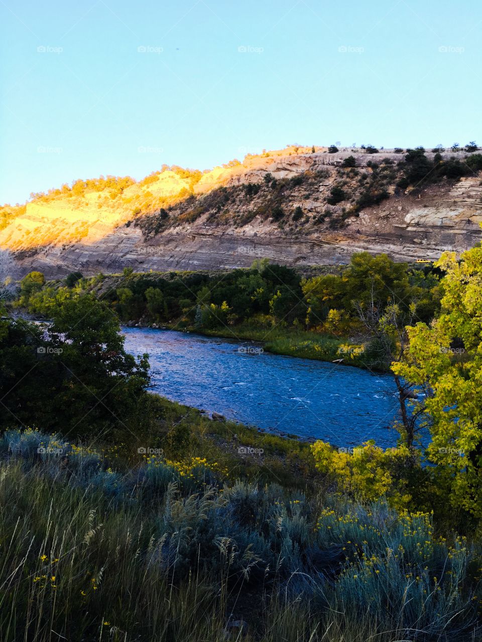 Scenic view of river in autumn