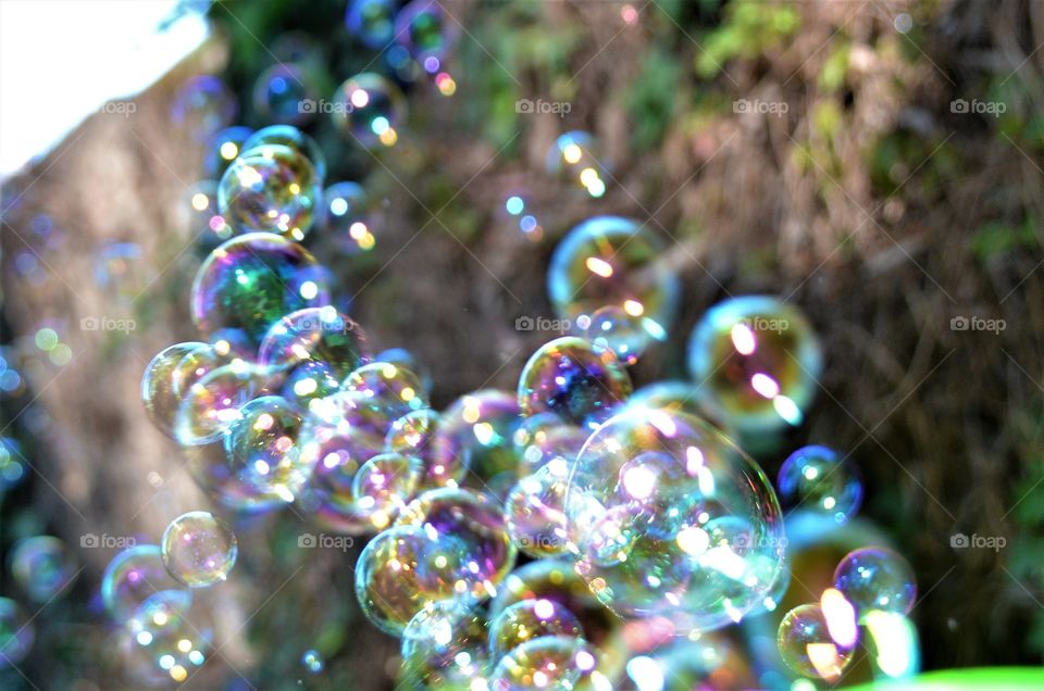 Bubbles 