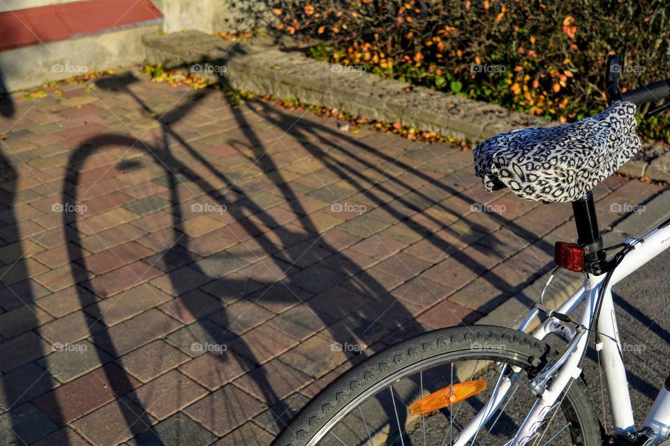 bike and shadow on a street pavement, lifestyle