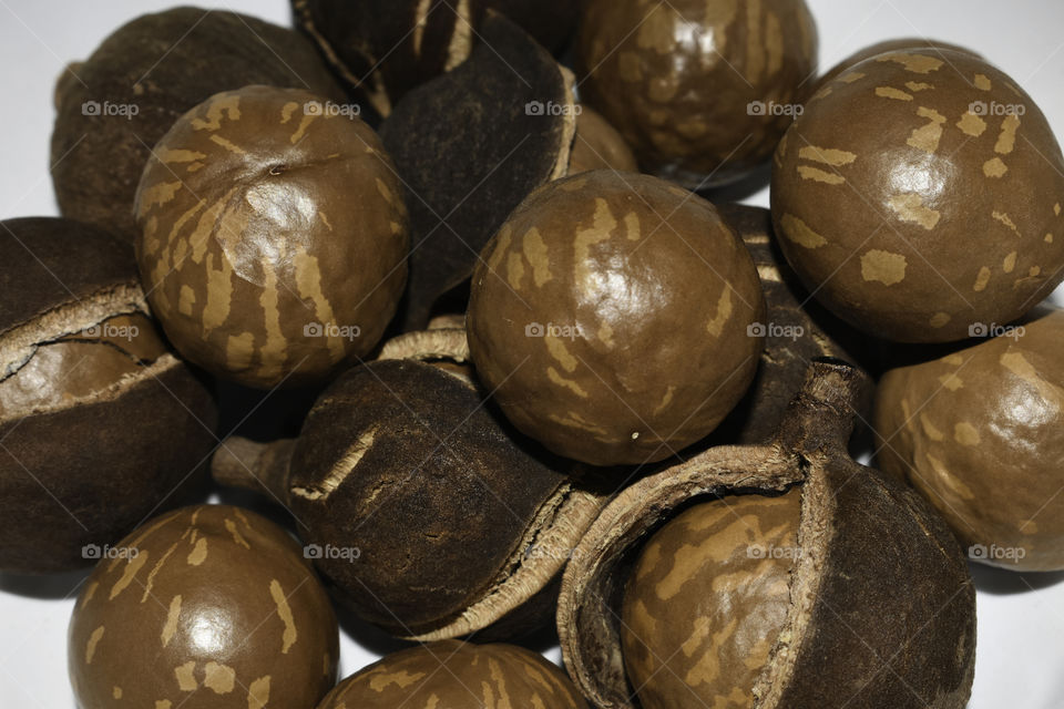 Fresh Macadamia Tree Nuts In Shell And Husk, South Africa