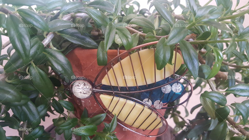 Plant with Terra cotta pot and bee decor